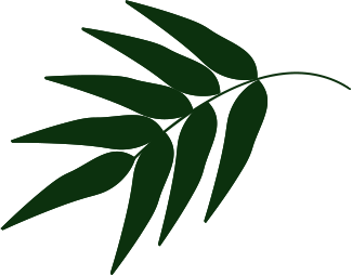 booking-shape3-2 booking-shape3-2