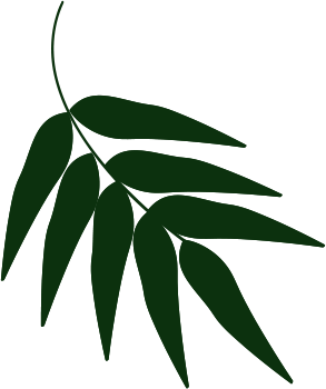 work-shape3-1 work-shape3-1