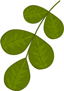 work-shape3-2 work-shape3-2