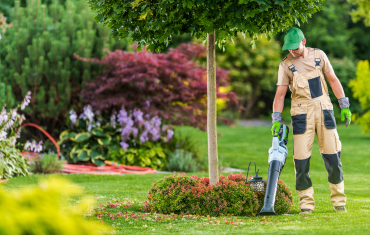 Commercial-and-Residential-Landscape-Maintenance web